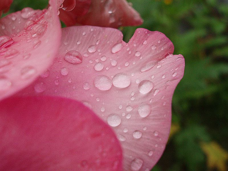 P8150942.JPG