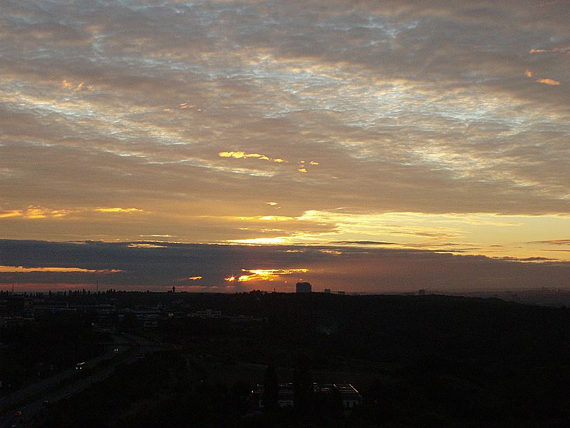 P9091695.JPG