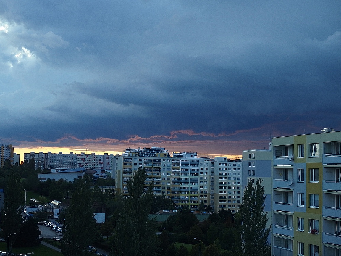 P9060184.JPG