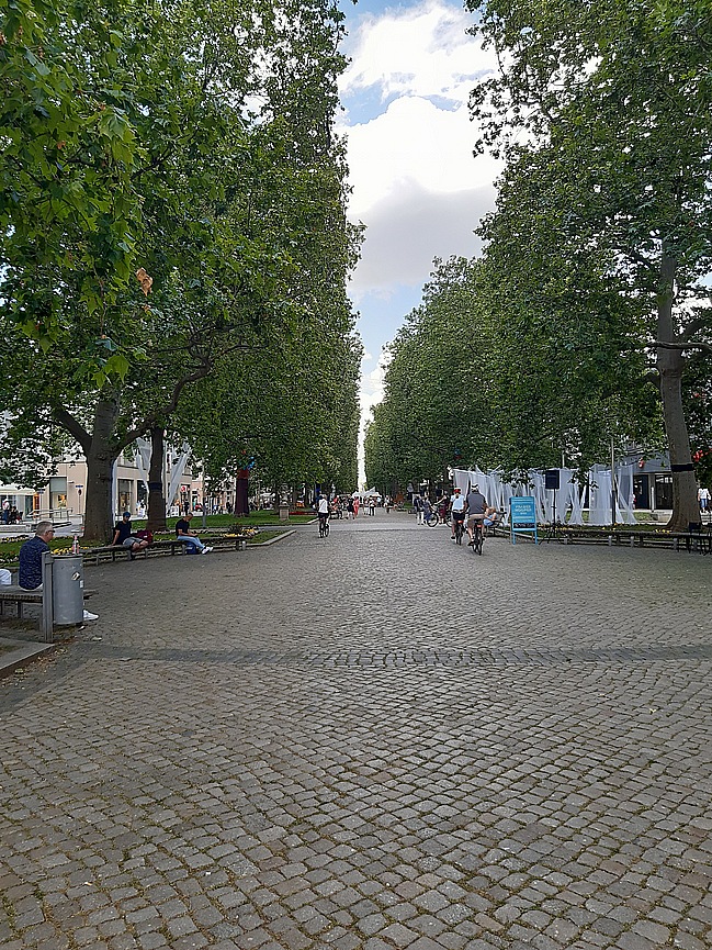 17.jpg