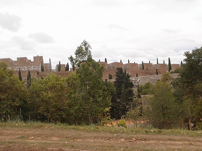 P9274750.JPG