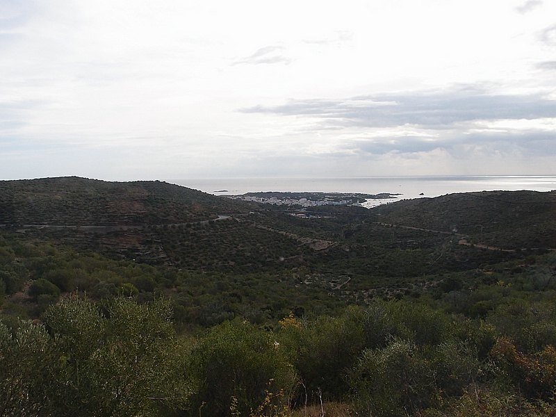 P9263003.JPG