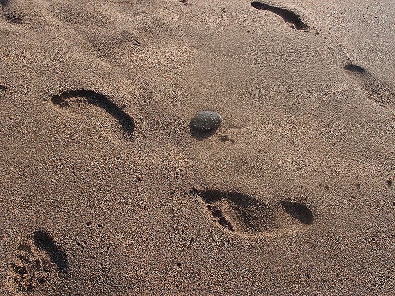 P9229288.JPG