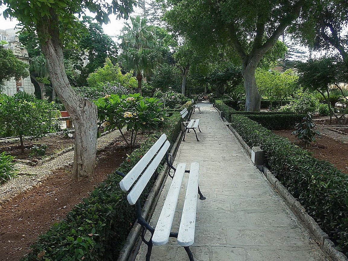 n36.JPG