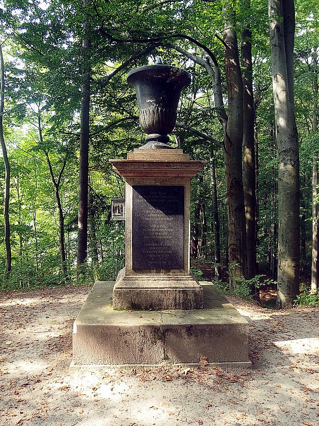 P9161105.jpg
