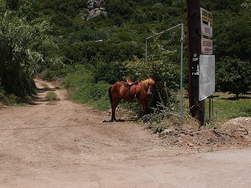 P6151375.JPG