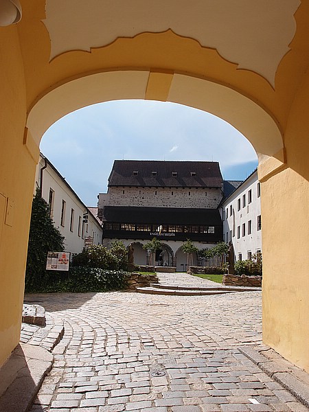P8023503.JPG