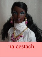 Na cestch